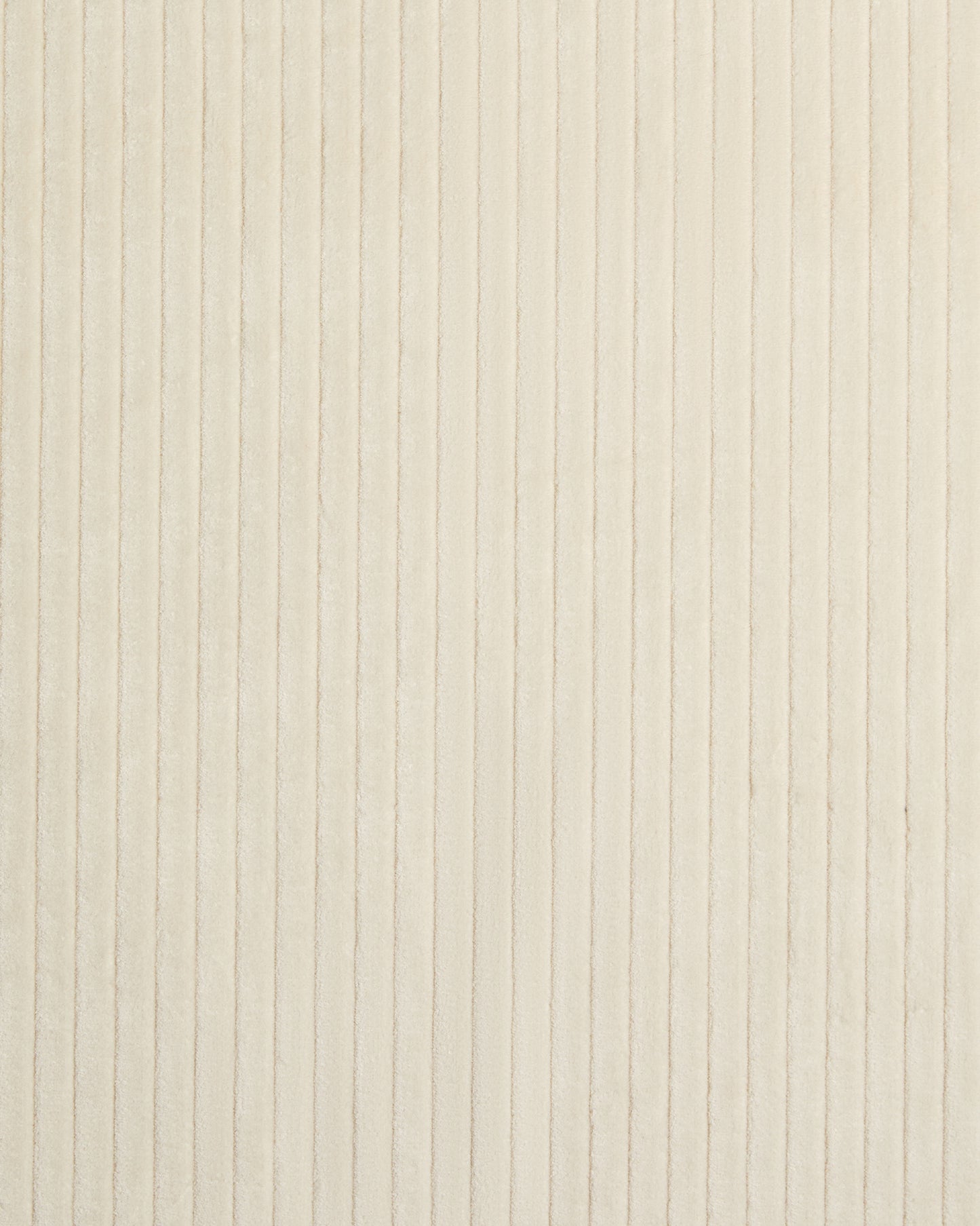 Jumbo Cord Fabric Sample