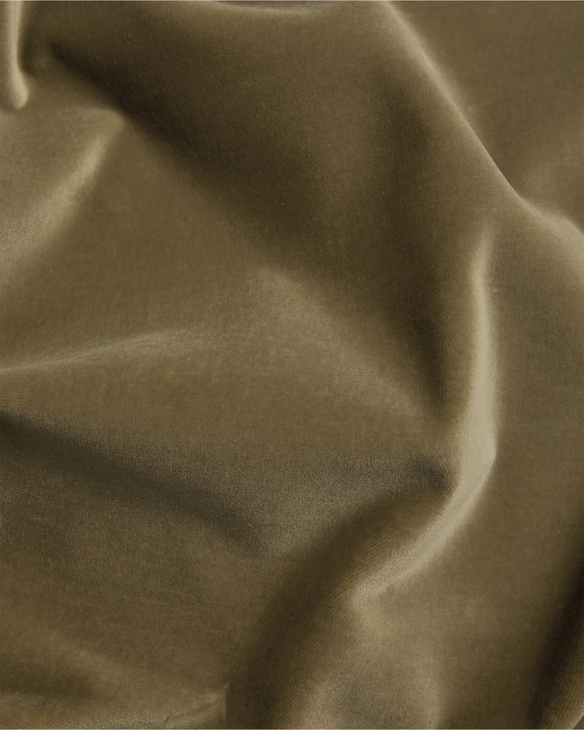 Fern velvet