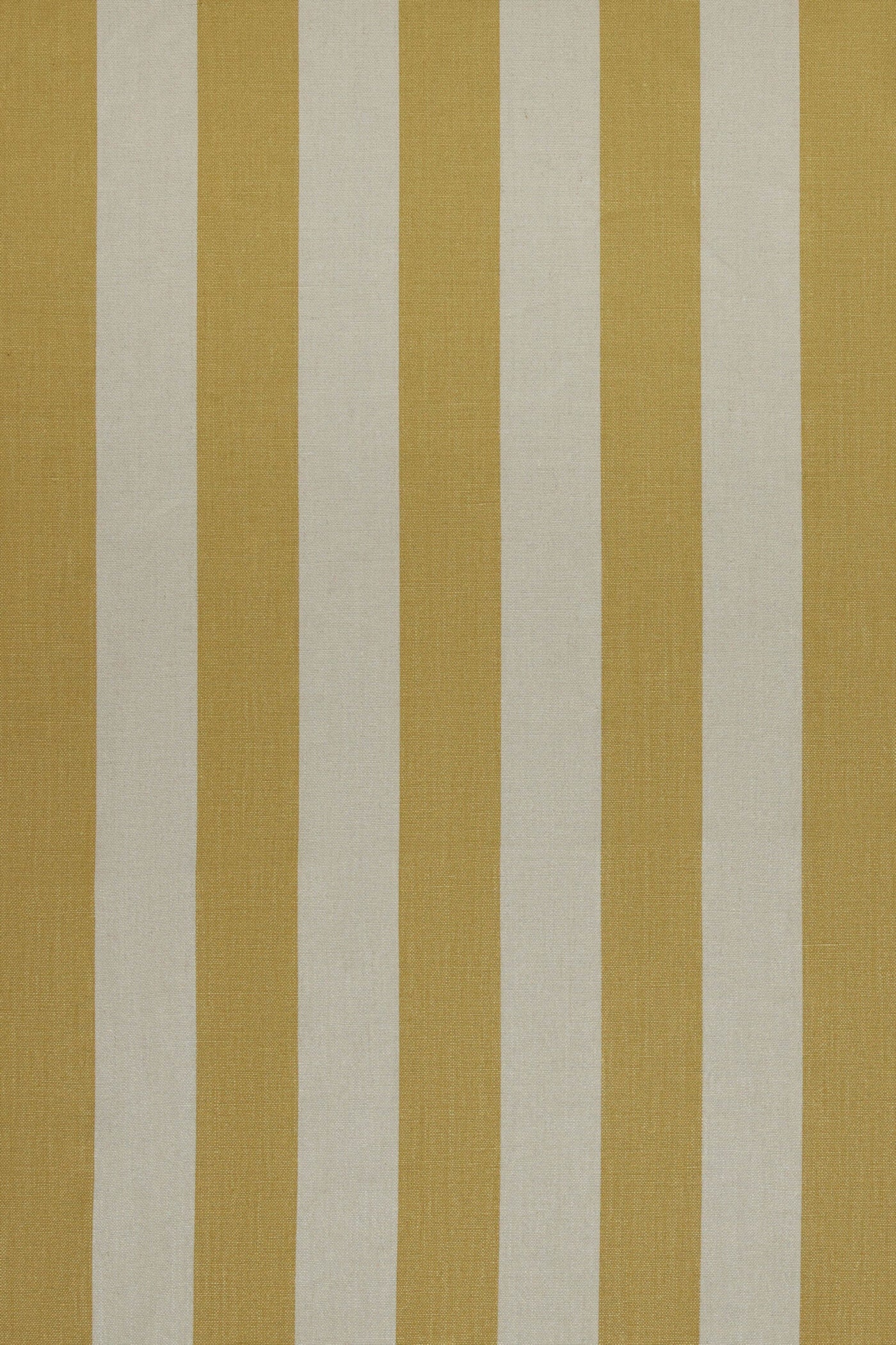 Studio Stripe™