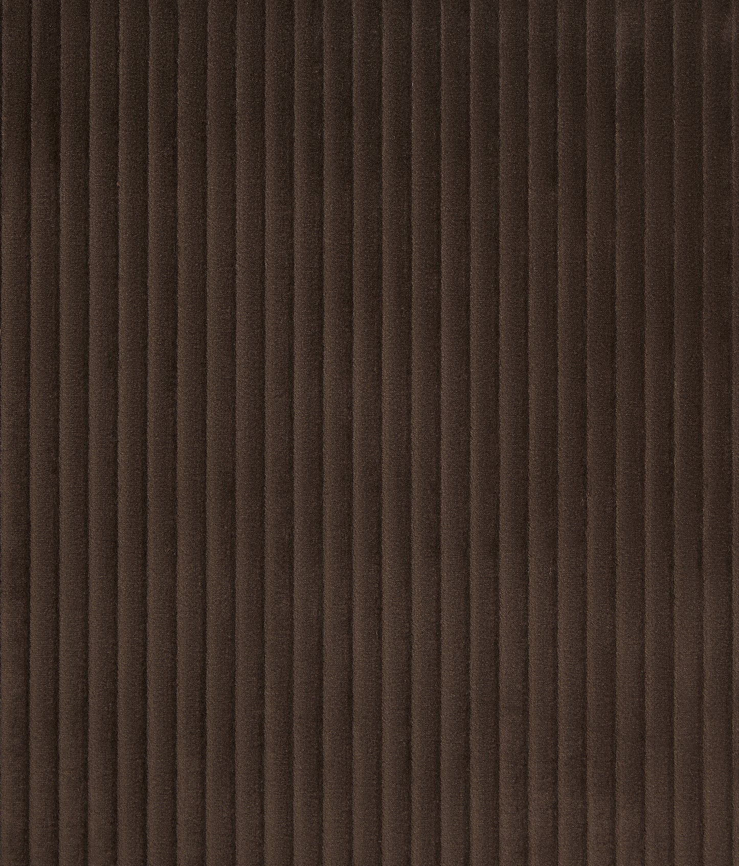 Jumbo Cord Fabric Sample