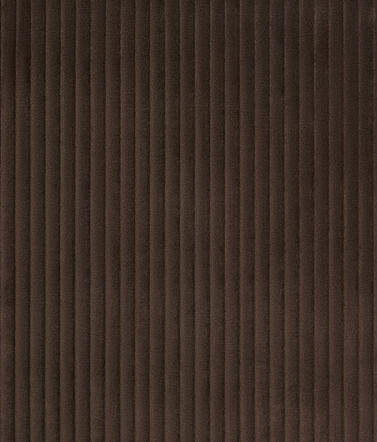 Jumbo Cord Fabric Sample