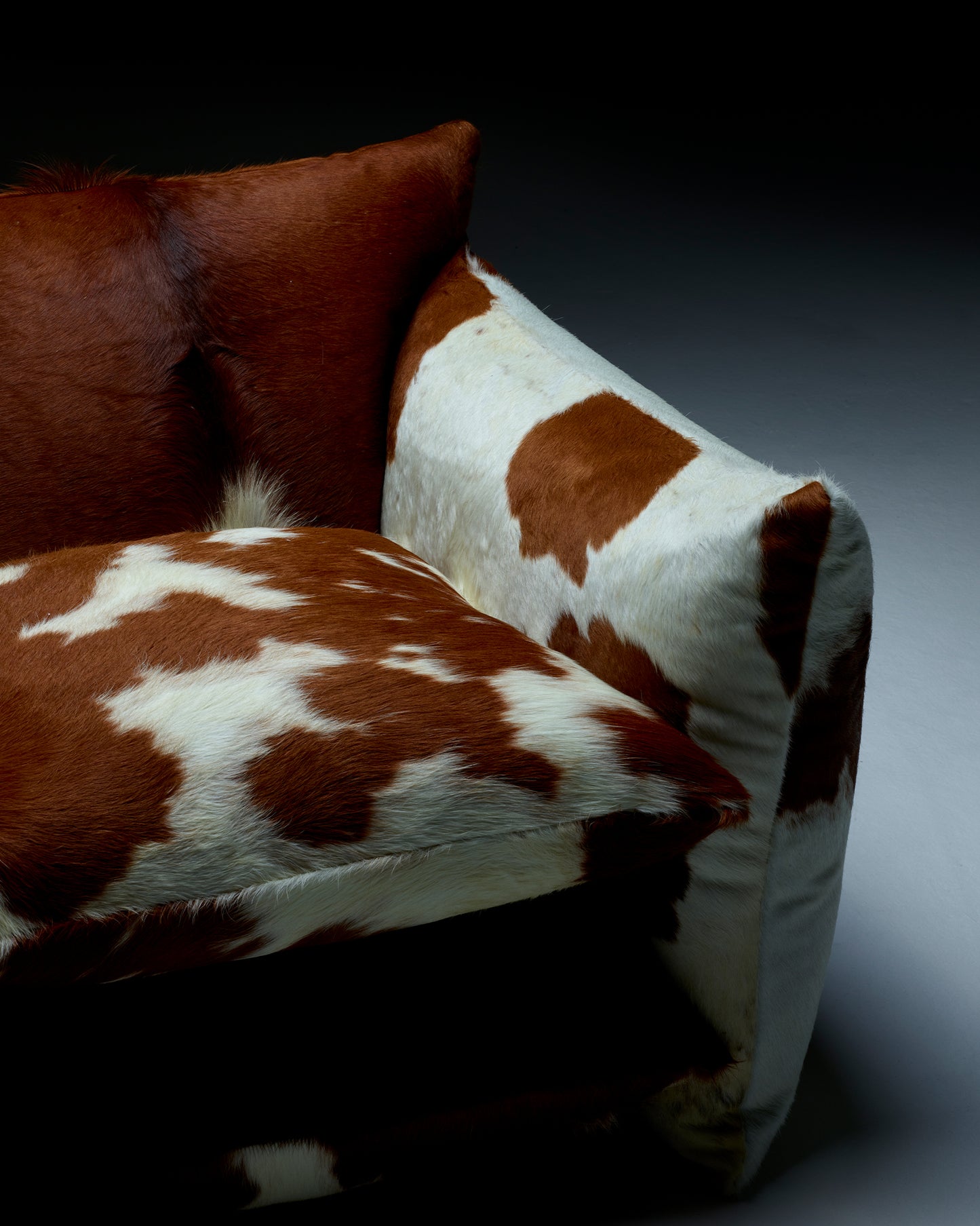 Special Edition Studio Chair™ : Cowhide
