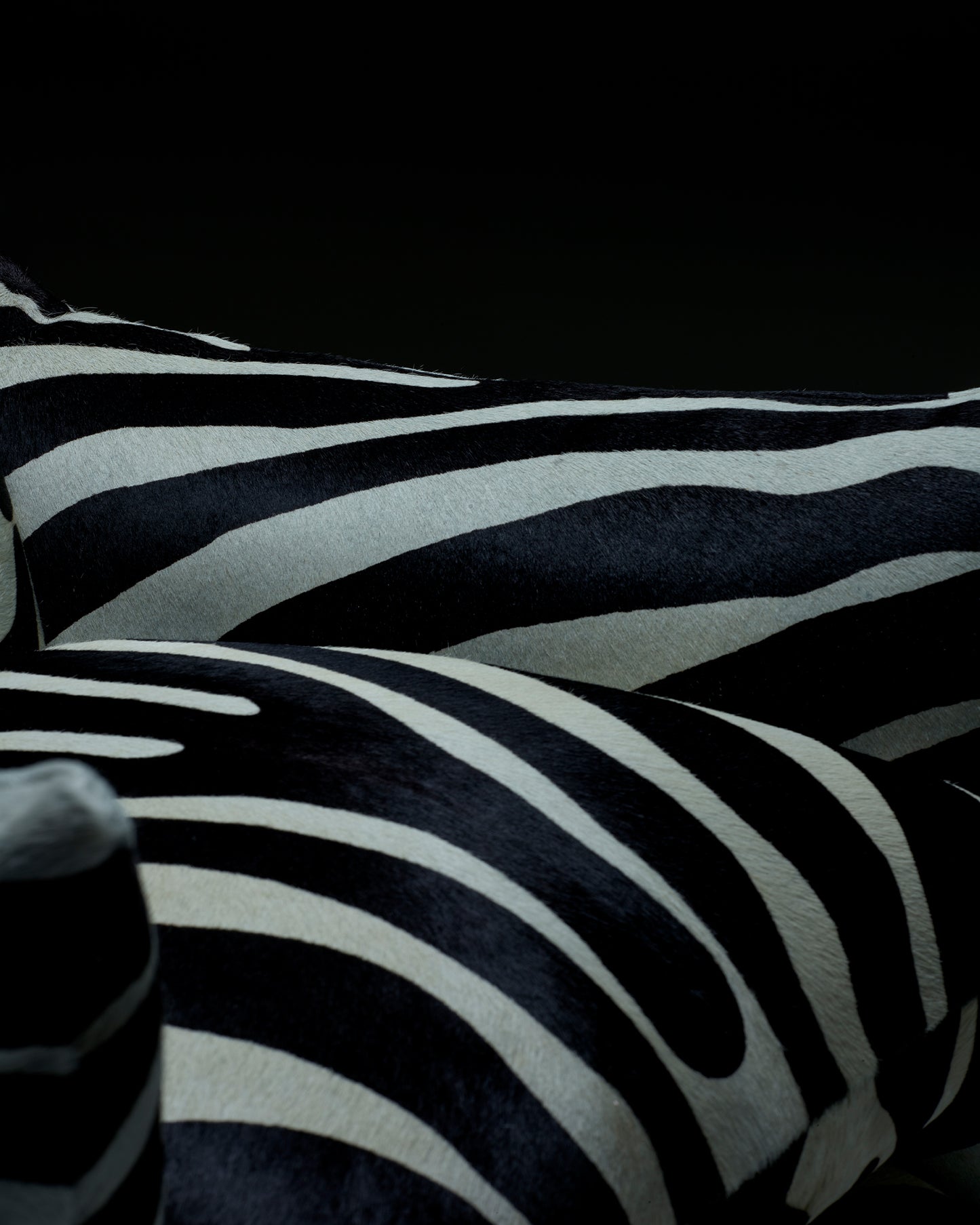 Special Edition Studio Chair™ : Zebra
