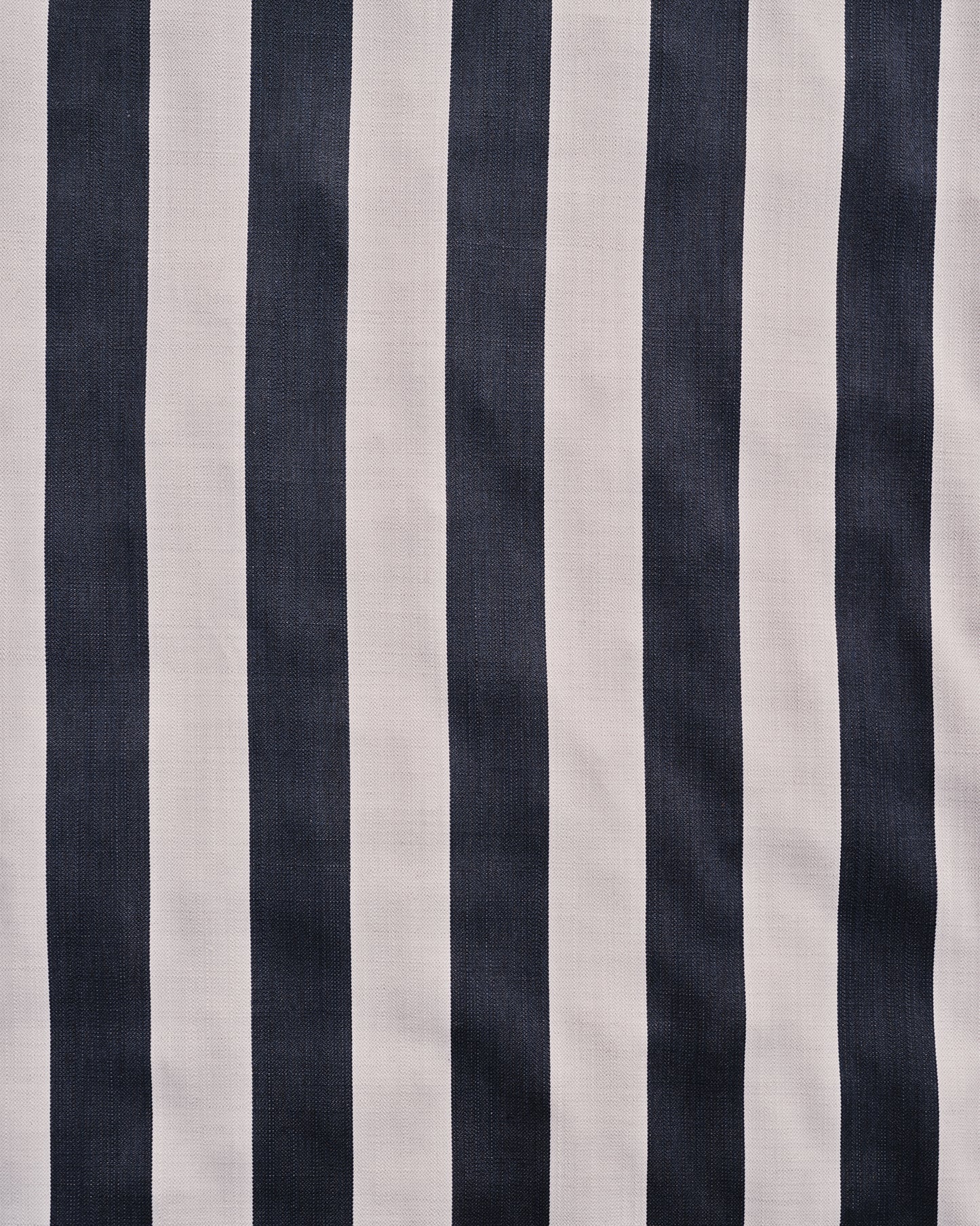 Wild Studio Stripe
