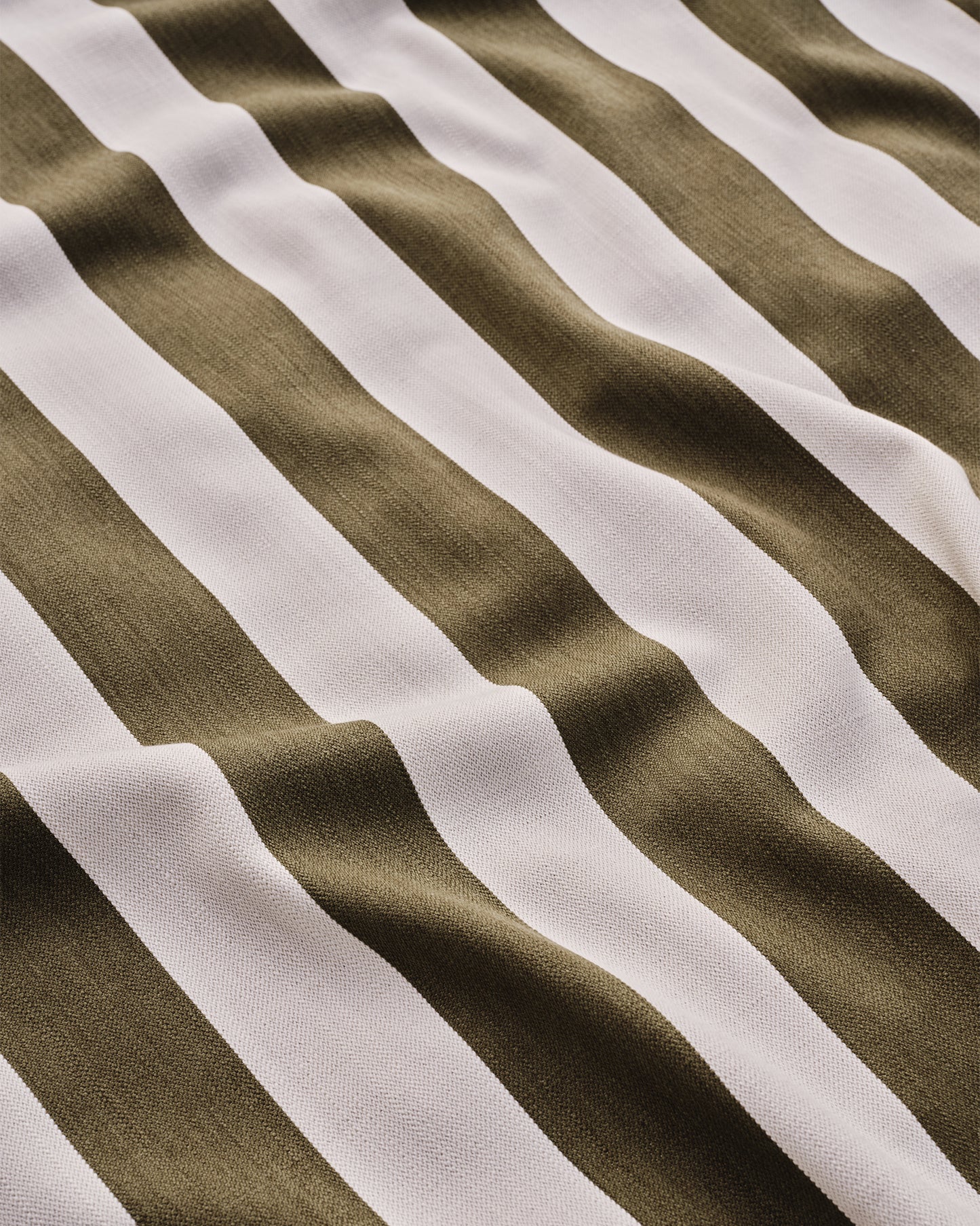 Wild Studio Stripe