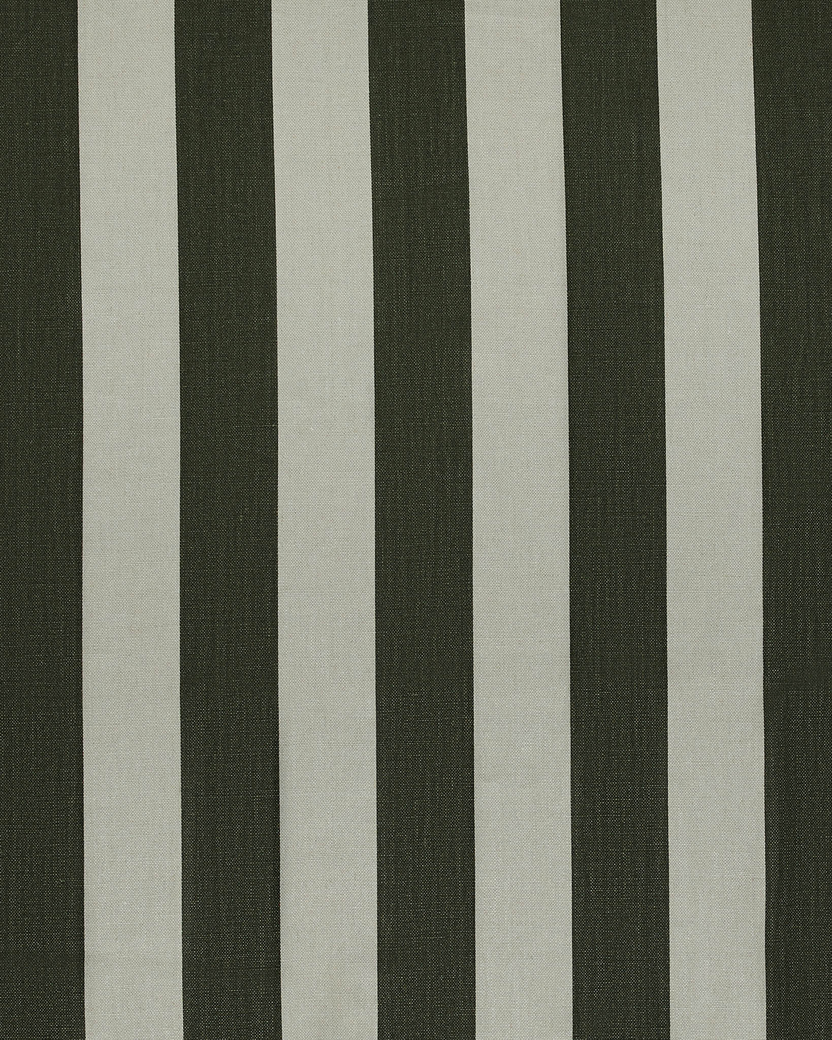 Moss Studio Stripe