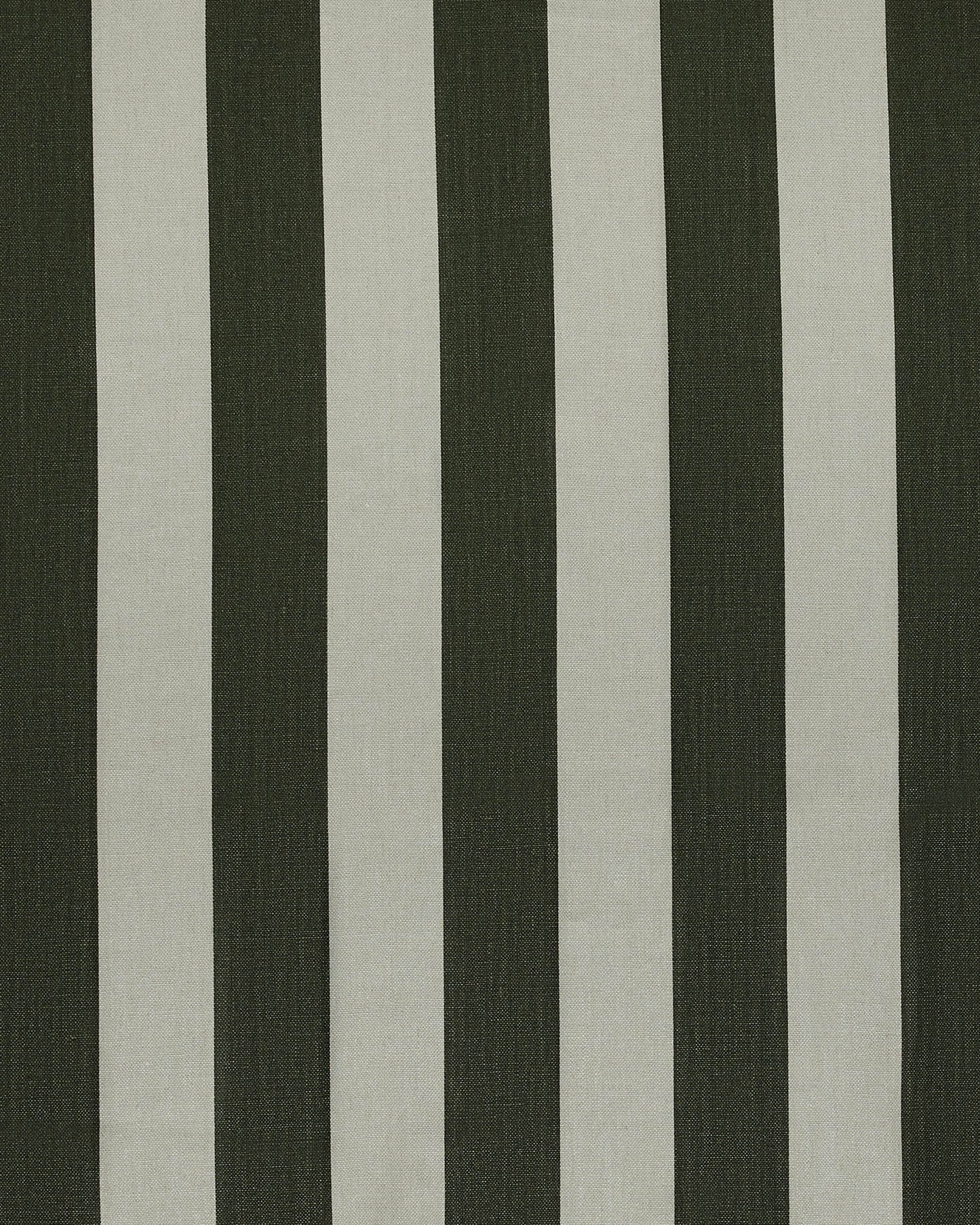 Studio Stripe, Moss