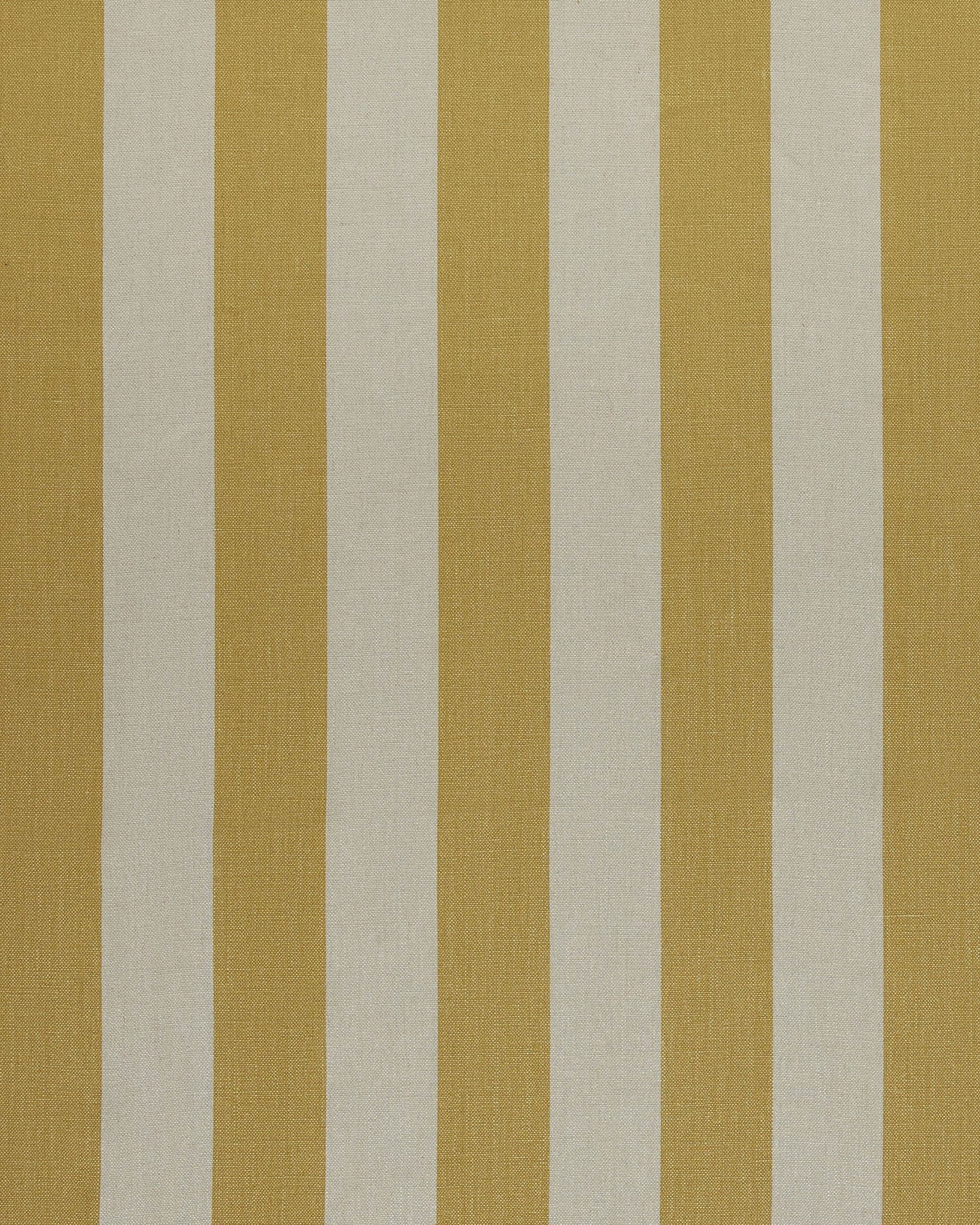 Old Yellow Studio Stripe