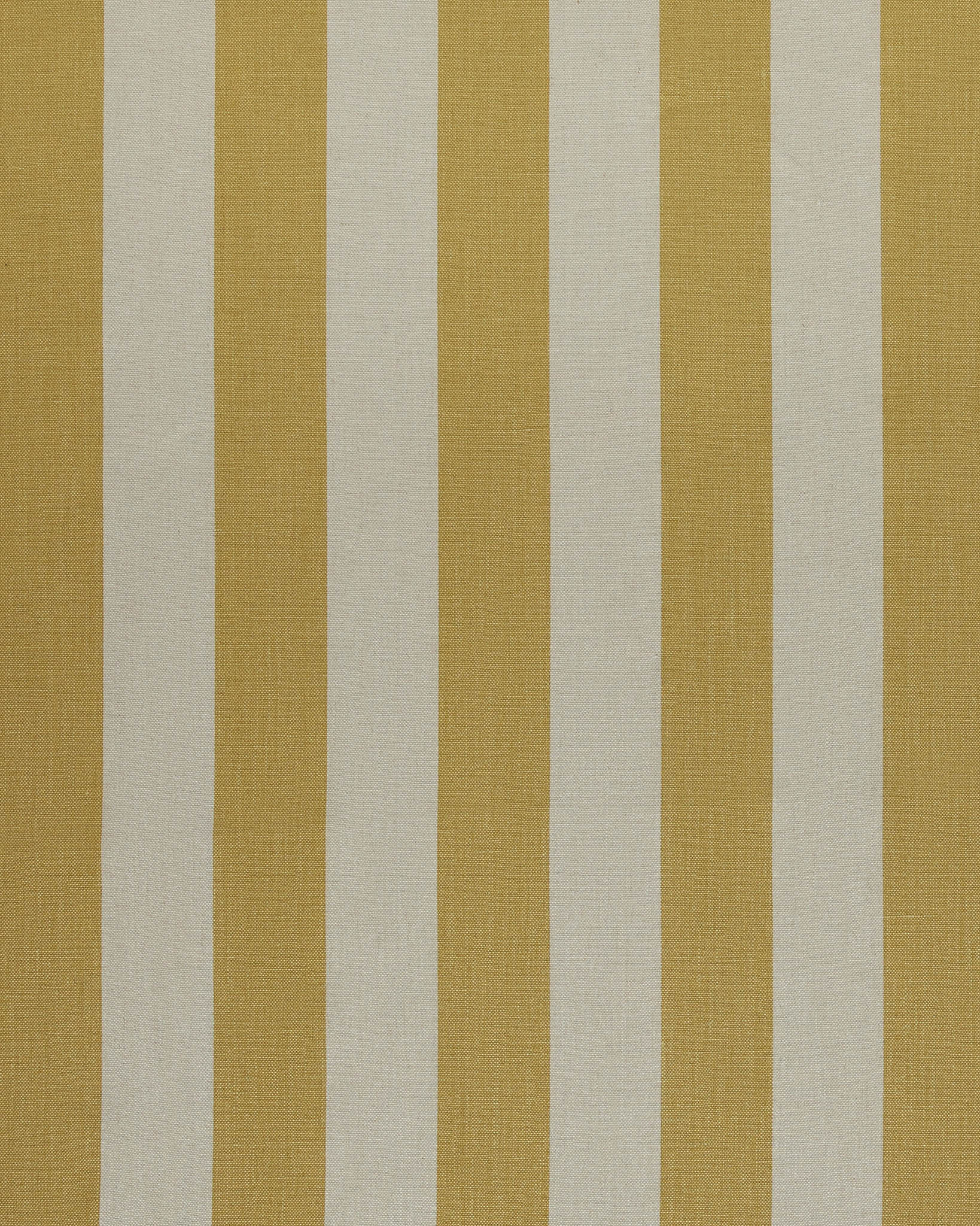 Studio Stripe, Old Yellow