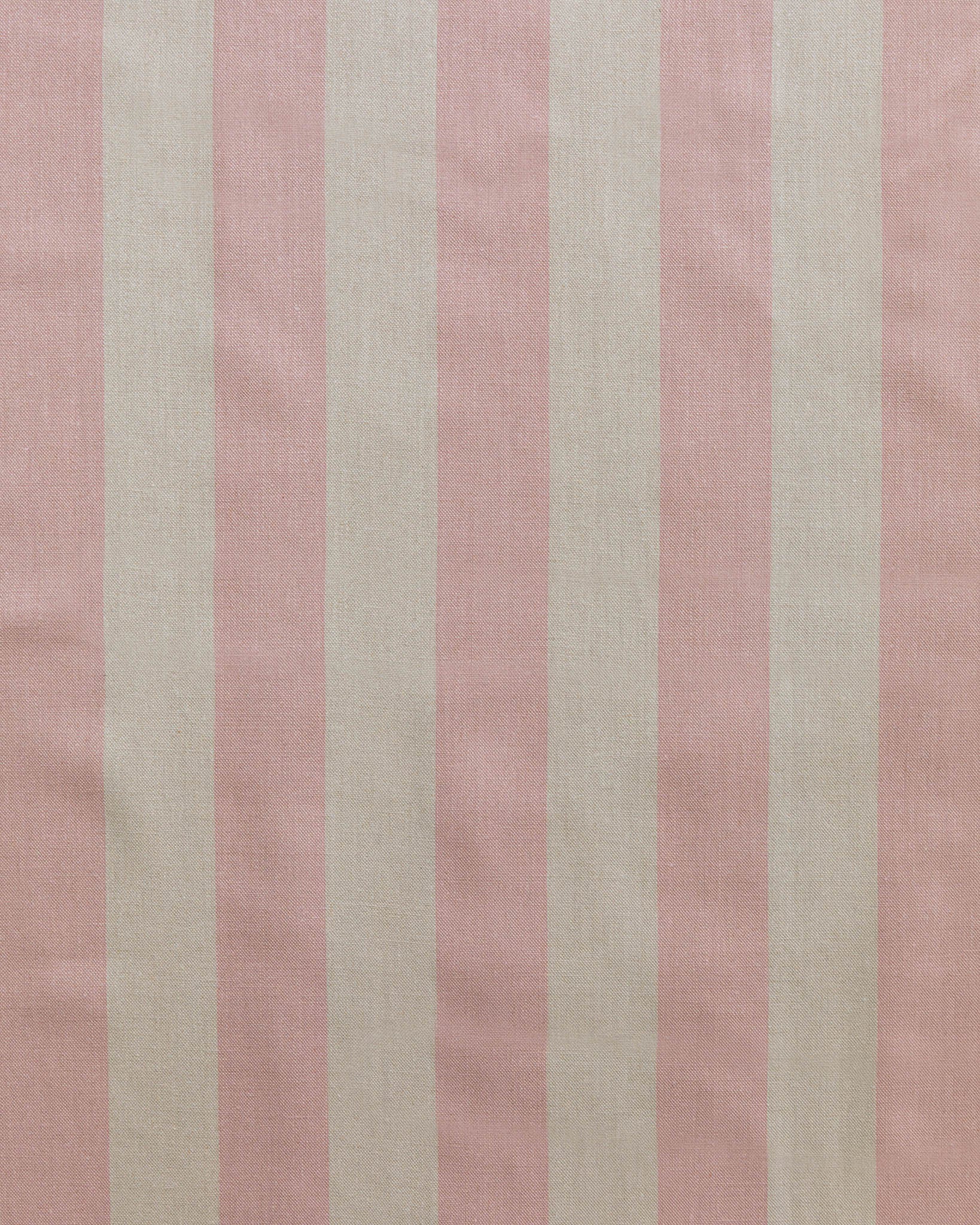 Studio Stripe, Rose