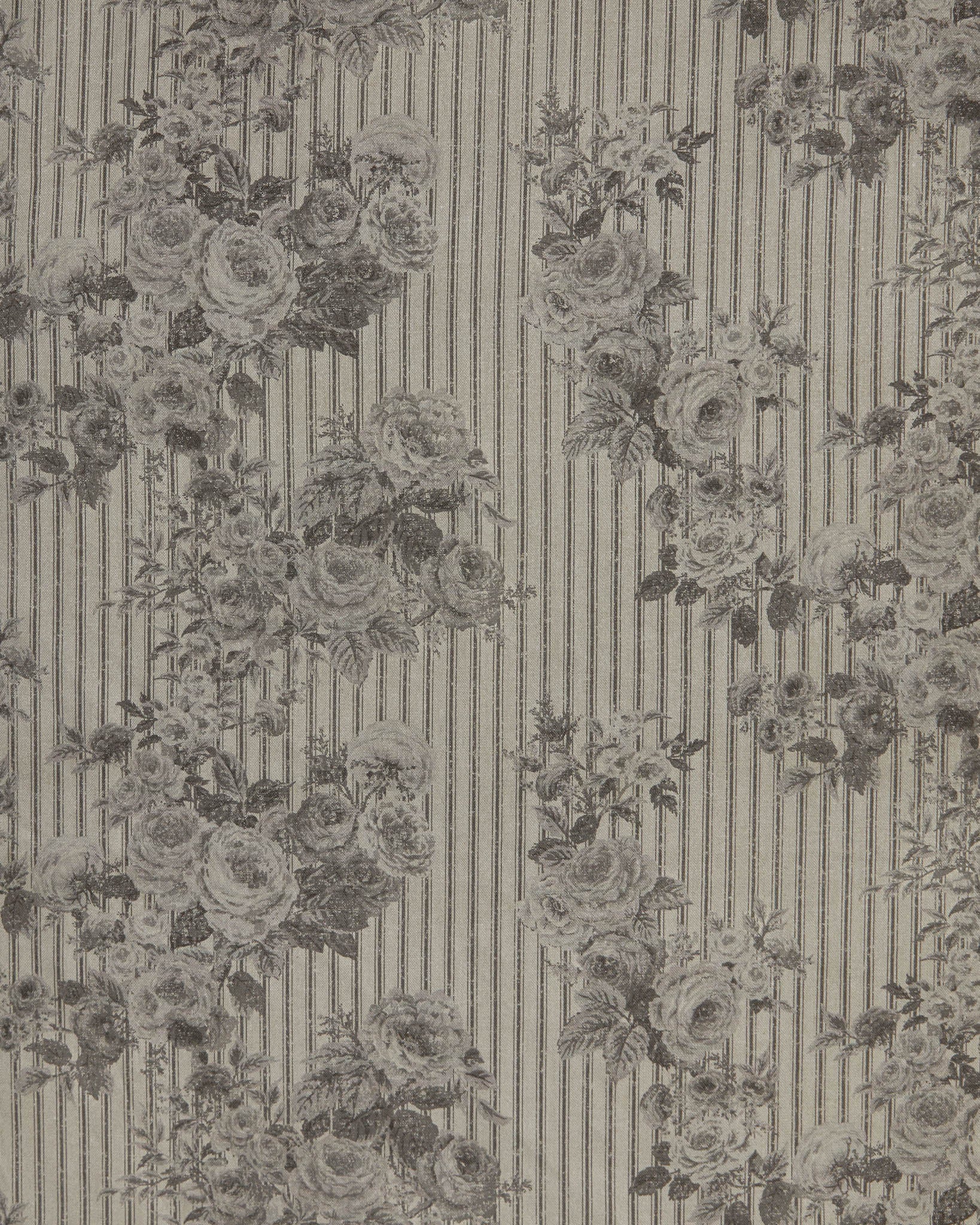 Ticking Rose, Monochrome