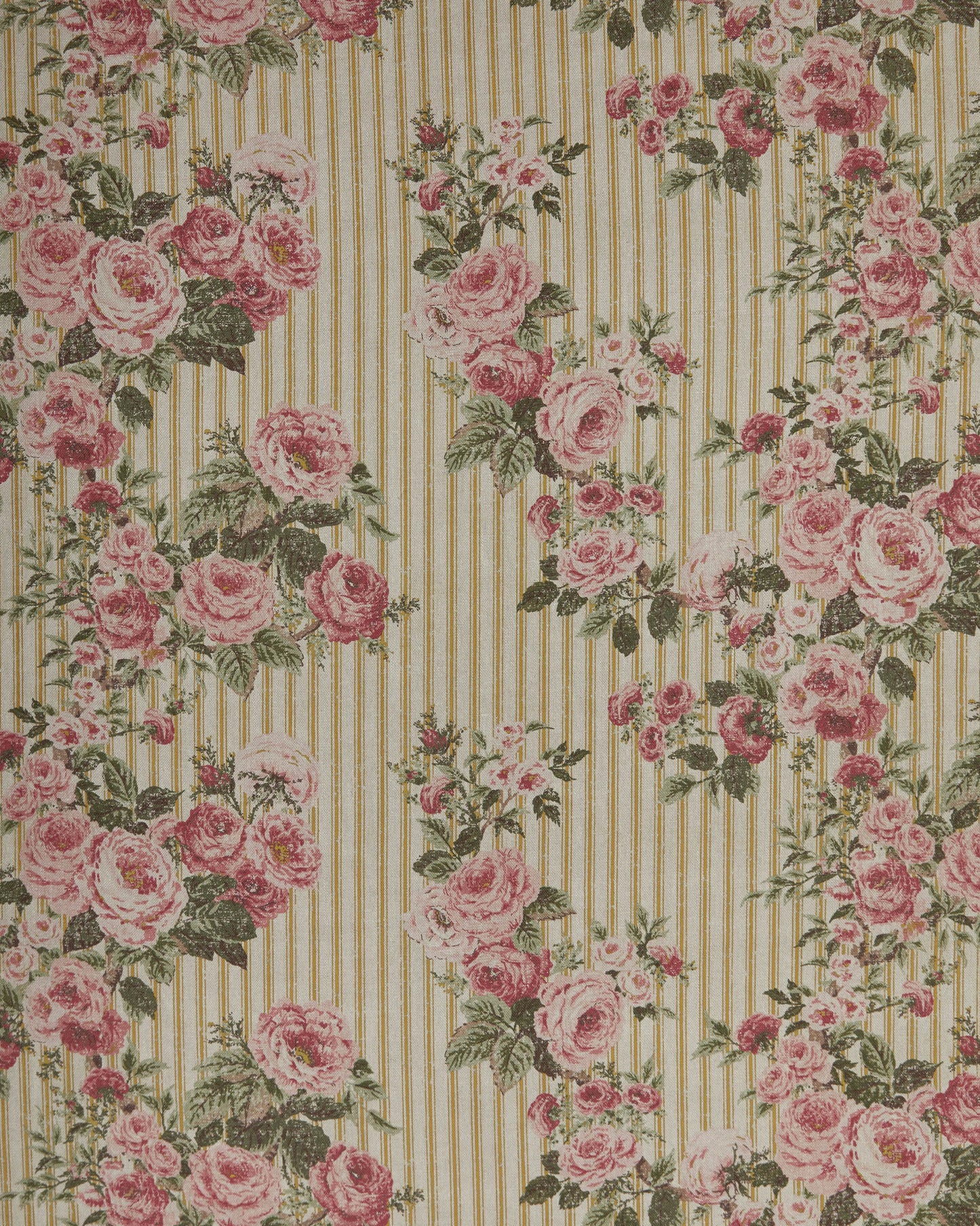 Ticking Rose - Mustard