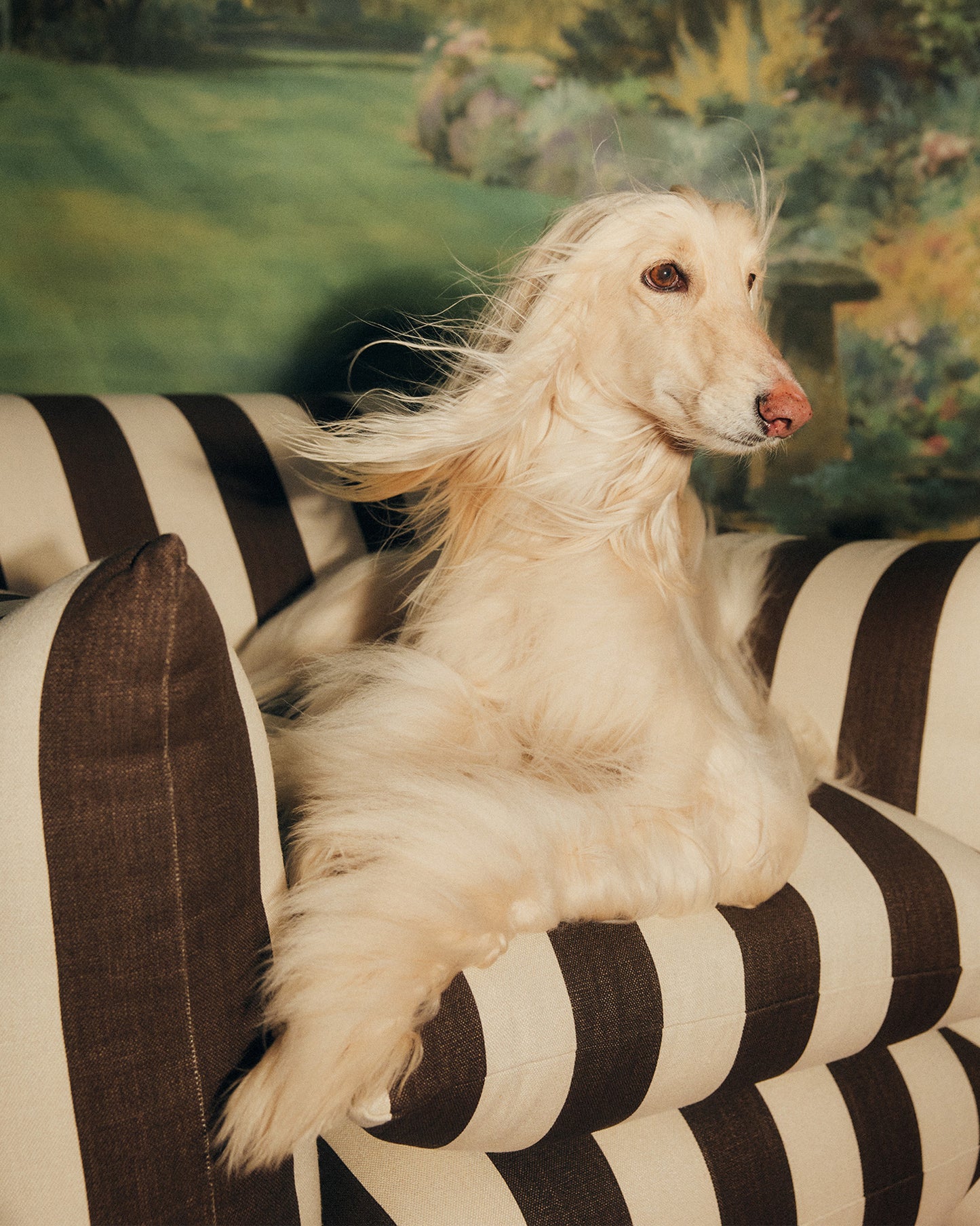 Studio Chair™ : Earth Studio Stripe