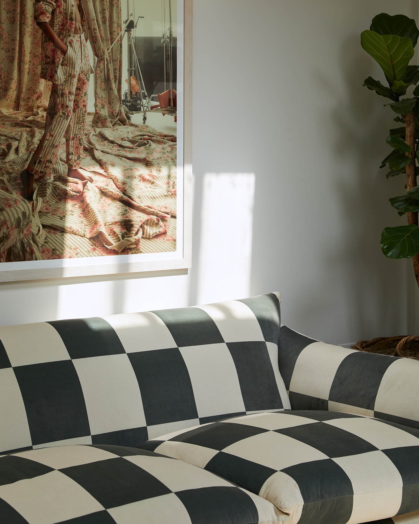 Studio Sofa in Checkmate Velvet